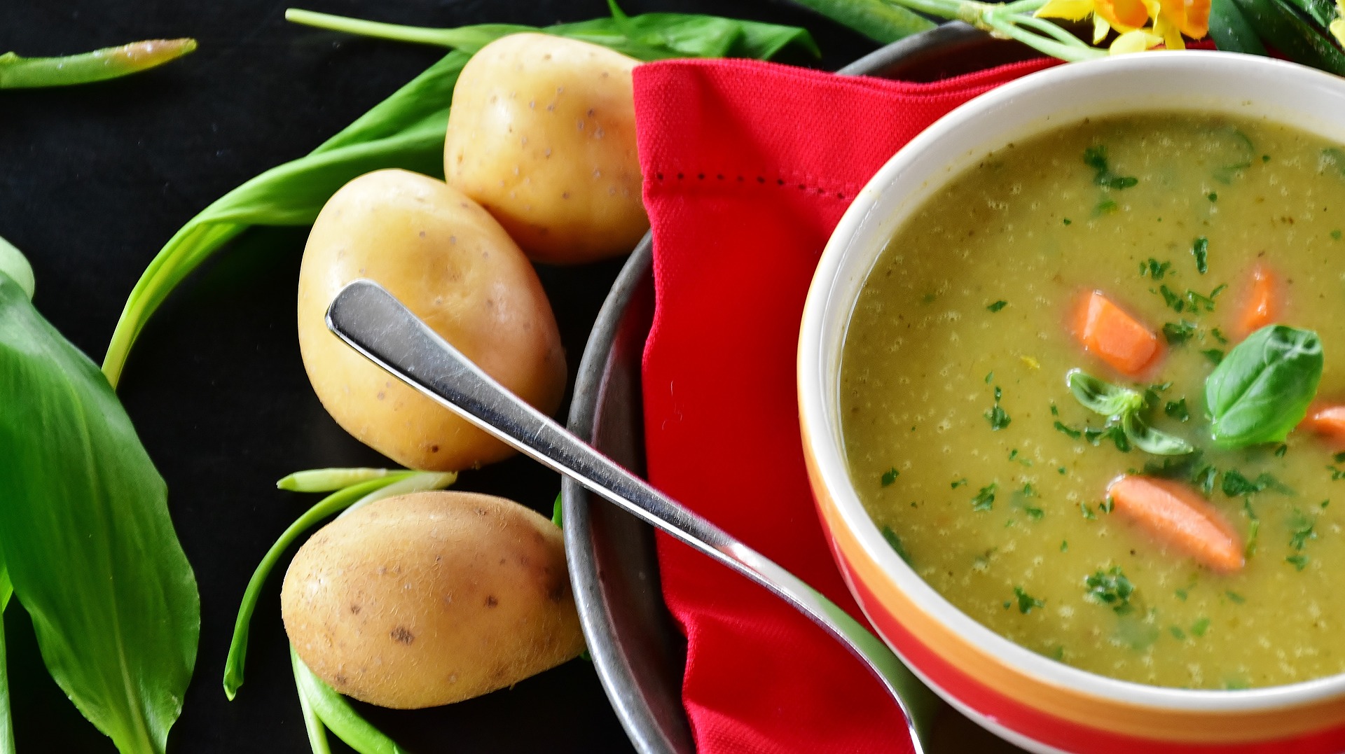 Vegetarische Suppen - Gut Lecker Hecker